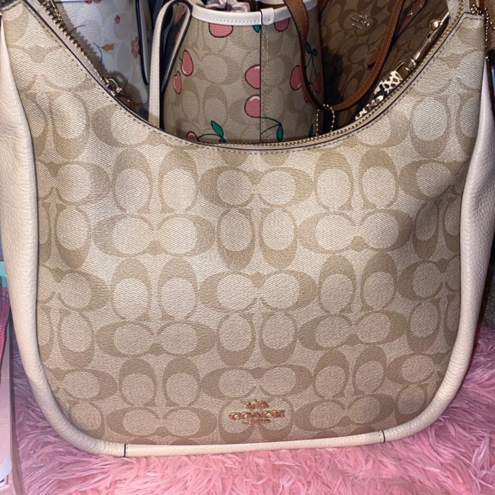 Coach Jules Hobo